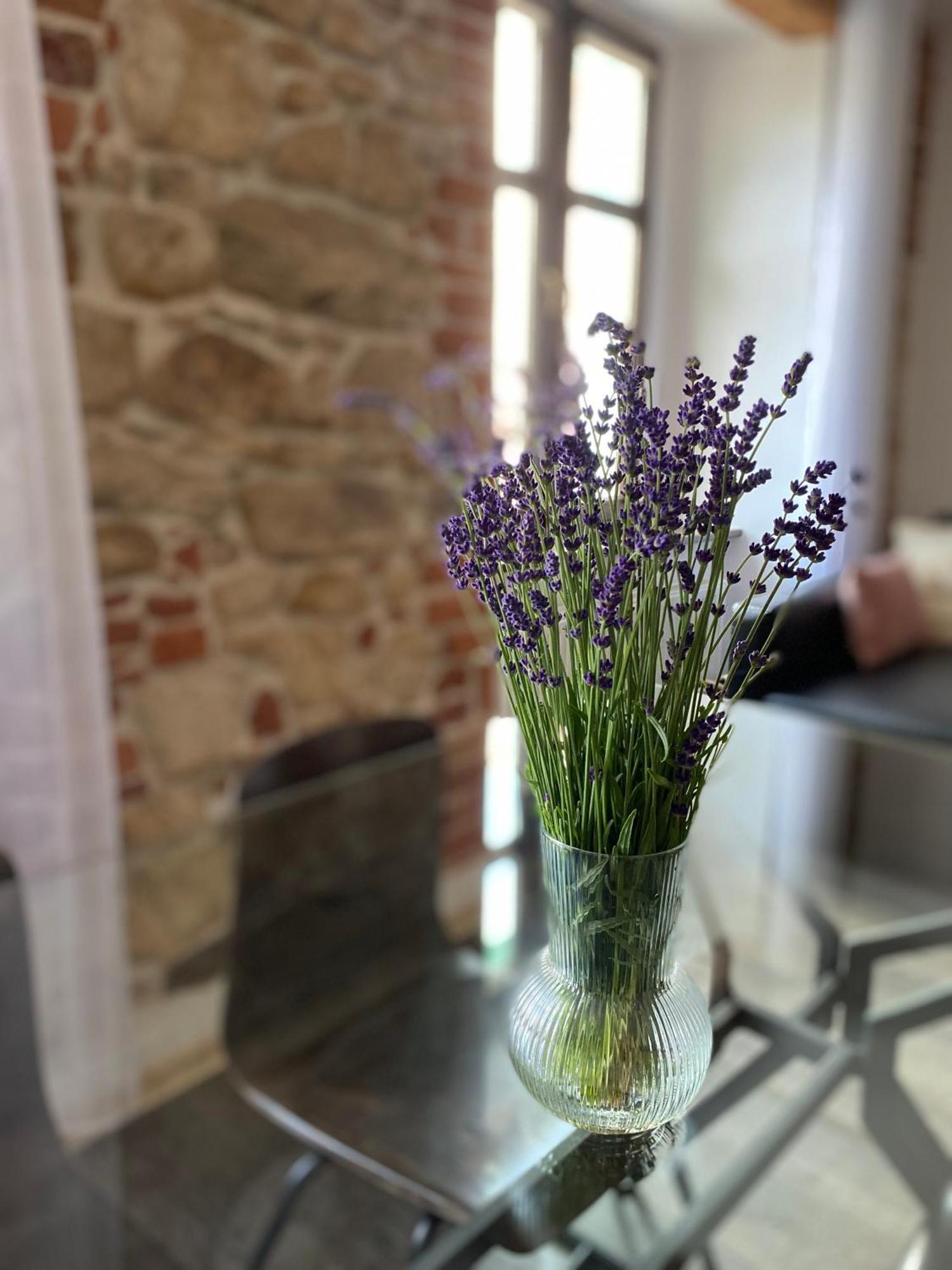 Apartament Przy Ratuszu Kłodzko Esterno foto